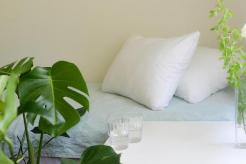 Mustvee Hotel | Voore Guesthouse