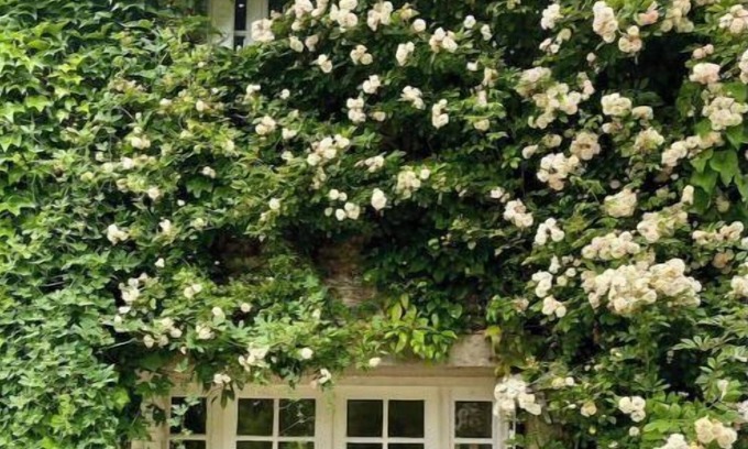 Saint-Pierre-de-Bailleul House | Vraie Belle Maison de Campagne à 1h de Paris !