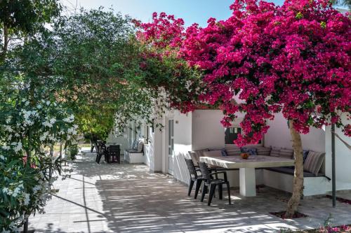 Mariou House | Vrisidia Cottage - Nature, Seaview & Relax