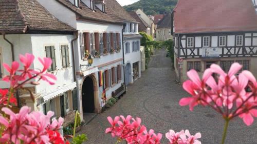 Neustadt-Hambach Apartment | Waldblick