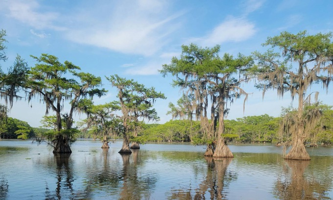 Uncertain House | Waterfront, close to Caddo State Park, walk to Shady Glade, vast deck, remodeled