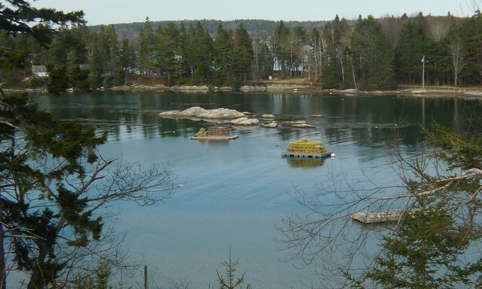 Southport Cottage | Waterfront Cottage With An Awesome View Of Capital And Burnt Island