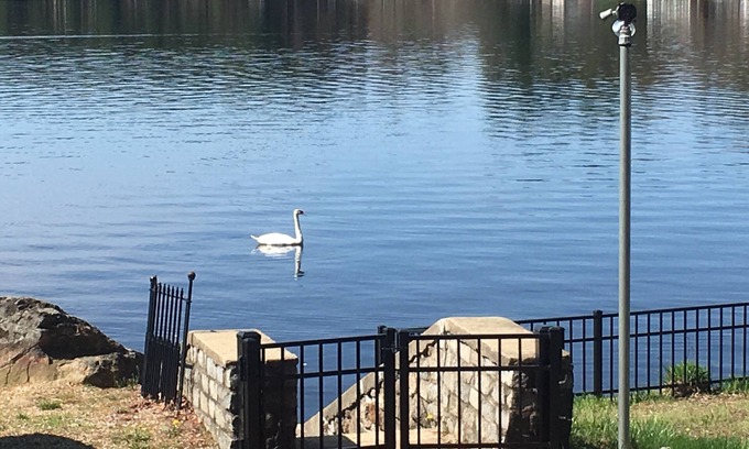 Sandown Cottage | Waterfront, family oriented, large families get together 'Heaven here on earth'