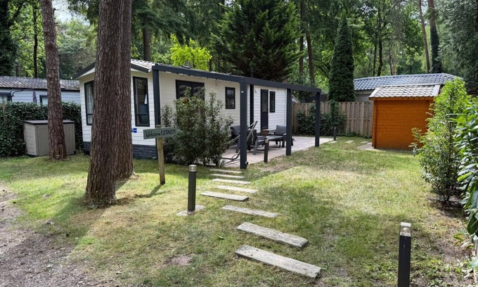 Bosgebied Hoenderloo House | Welcome to Beach Forest I Unwind at the Veluwe