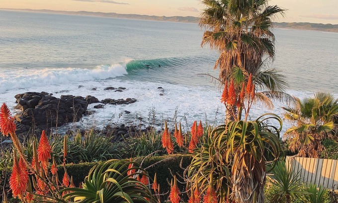 Raglan House | Whale Bay Surf House + Spa - Absolute Waterfront
