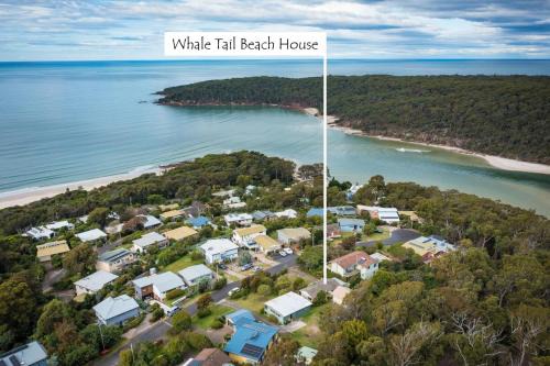 Pambula Beach House | Whale Tail Beach House