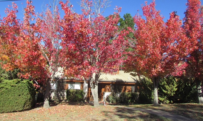 Jindabyne Apartment | Whispering Pines, walk to town, enjoy a Sauna.