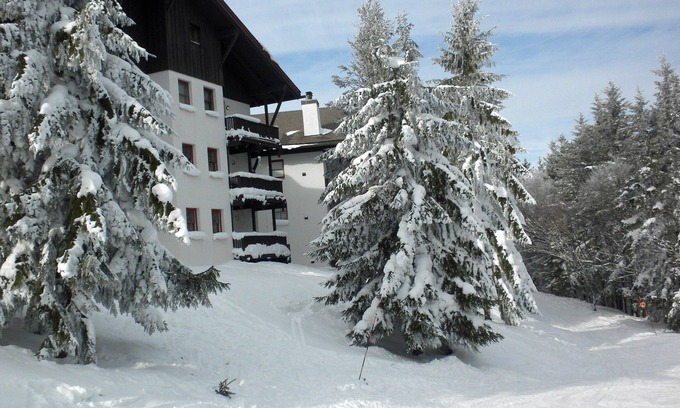 Snowshoe Condo | Whistlepunk #24: 4 Bedroom, 3 Bath: Slope Side, Wood Fireplace.