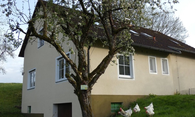 Goessweinstein Apartment | White chicken from Moschendorf