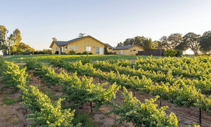Paso Robles House | Wild Vines - Amazing Vineyard Views