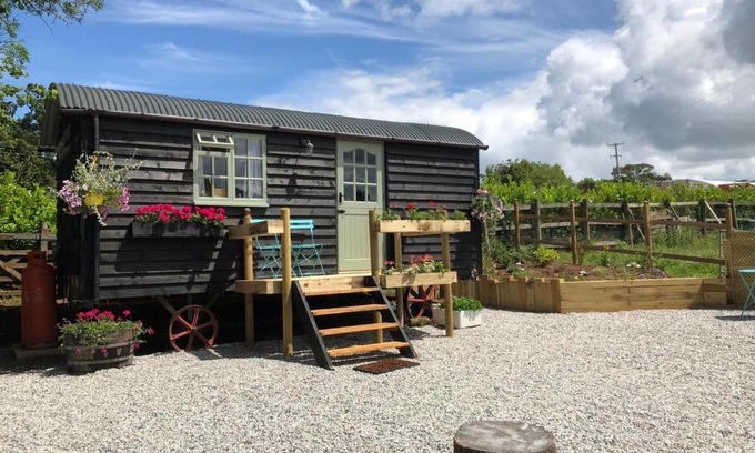 Sidmouth Other | Willow Brook Shepherd Hut
