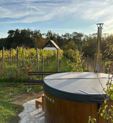Valtrovice House | Wine & Relax Mezi Sklepy