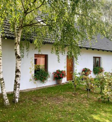 gmina Krosnice House | Winnica De Sas