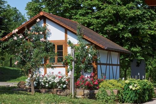 Durbach Apartment | Winzerhof Wörner