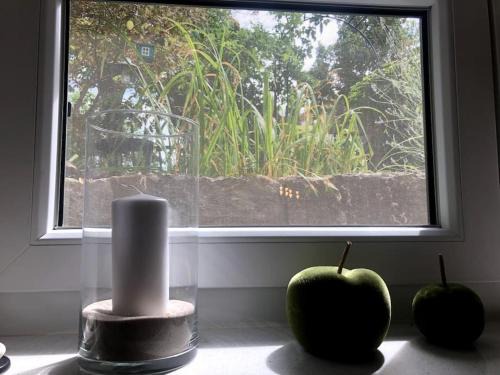 Bruchsal Apartment | Wohnung in gehobener Lage