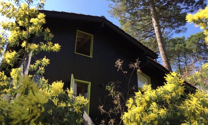 Lacanau Ski Chalet | Wooden chalet on Lacanau lake: a haven of peace surrounded by nature .