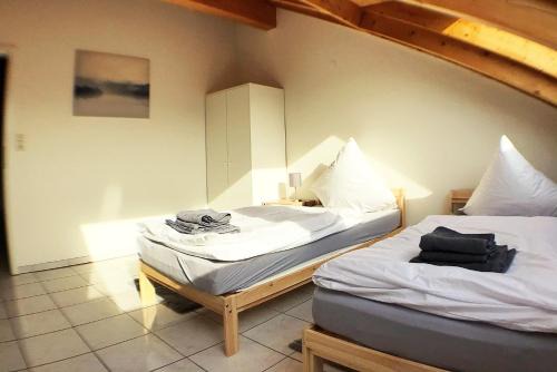 Busingen am Hochrhein Apartment | Workers Apartment- three room apartment with kitchen and wifi