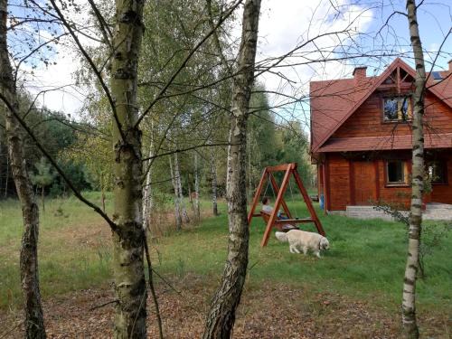 Dubicze Cerkiewne Villa | Wsród Pól i Lasów