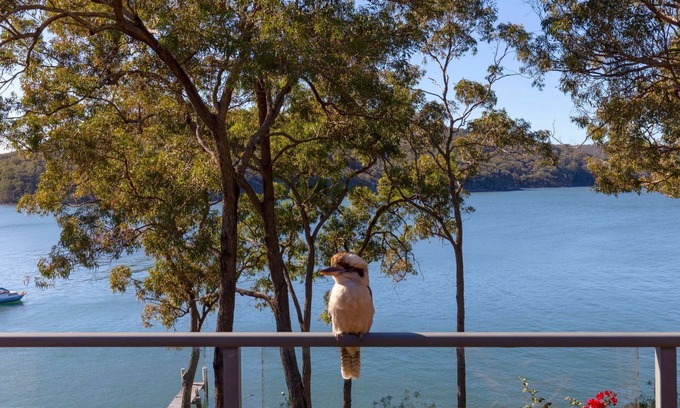 North Arm Cove House | Wybalena - set on a deep-water frontage in North Arm Cove