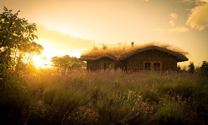 Puerto Octay Bed & Breakfast | Yellow Shoe B&B, comfortable, country Bed and Breakfast
