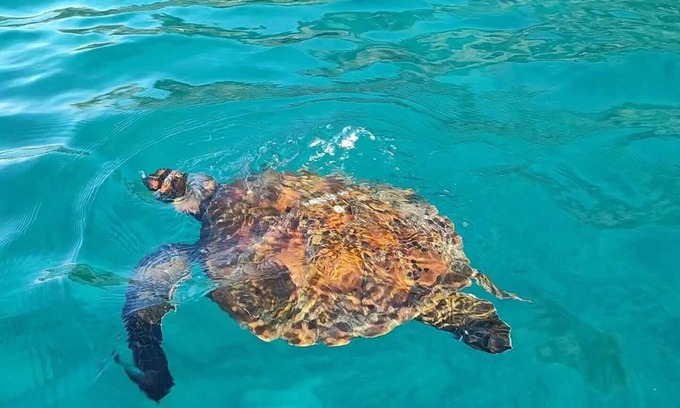 Bahia de la Academia House | "Your oasis of comfort in the heart of Galapagos."