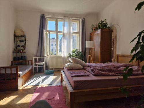 Sever Bed & Breakfast | Your private room in our appartment in Kosice