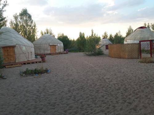Tosor Other | Yurt camp Tosor