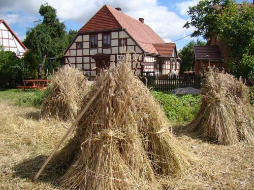 Trzebiatow House | Zagroda Chłopska