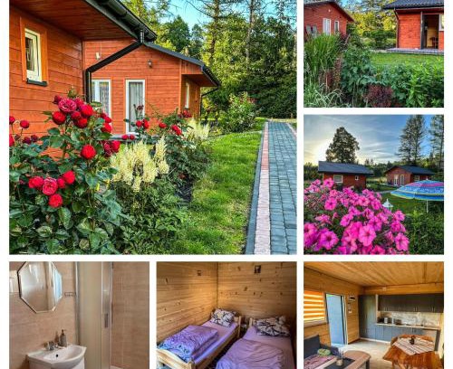 Ustrzyki Dolne House | ZIELONY GAJ przy SOLINIE