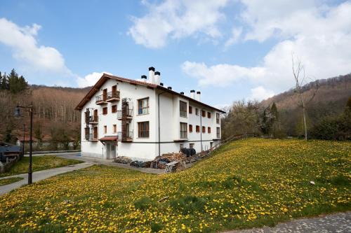 Basaburua Apartment | Zubizarreko Etxea