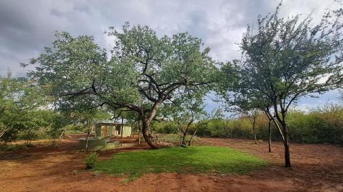 Tsumeb Other | ZuriCamp - Campsite Safiri