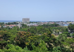 Ocho Rios Villa at Coolshade