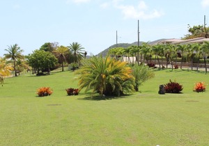South Coast Horizon