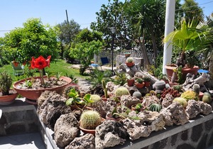 Hotel Maronti