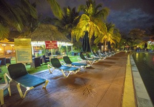 Coco Palm