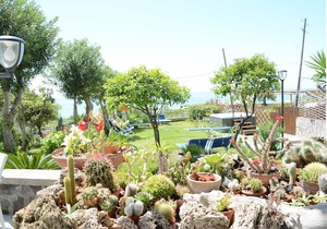 Hotel Maronti