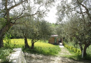 Il Bevaio di Corleone