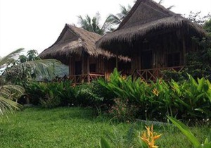 Bird of Paradise Bungalows