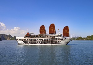 Alisa Cruise