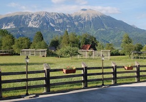 1 bedroom accommodation in Bled