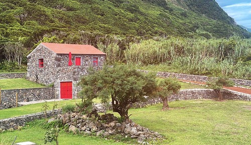 Junior House