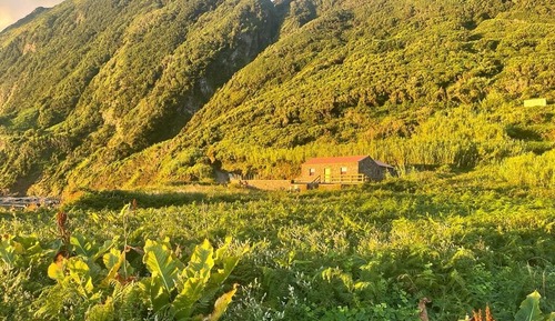 Panoramic House