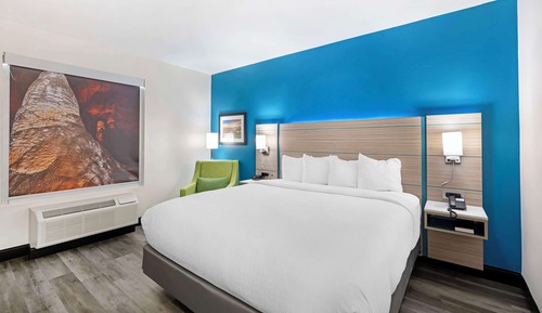 Standard Room, 1 King Bed, Accessible, Non Smoking (Walk-in Shower)