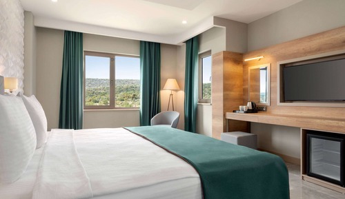 STANDART KARA MANZARALI