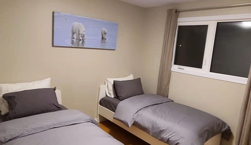 Basic Twin Room (A1)