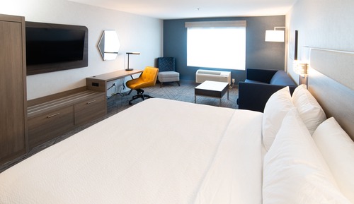 Suite, 1 King Bed with Sofa bed