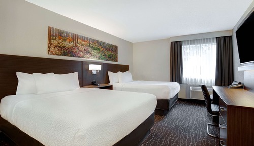 Room, 2 Queen Beds, Non Smoking (Pet-Friendly)