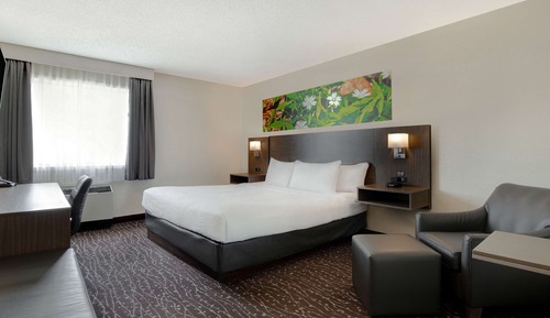 Room, 1 King Bed, Non Smoking (Pet-Friendly)