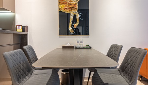 Luxury Apartment