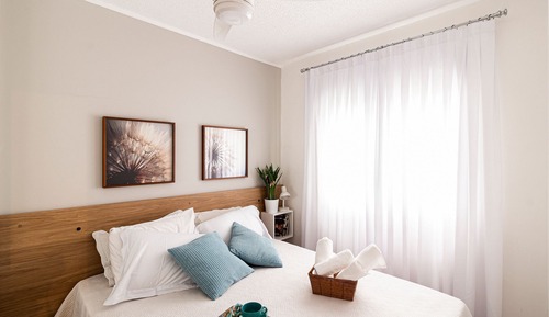 Basic Apartment